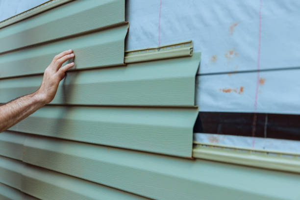 Best Siding Painting and Refinishing  in Rural Hill, TN